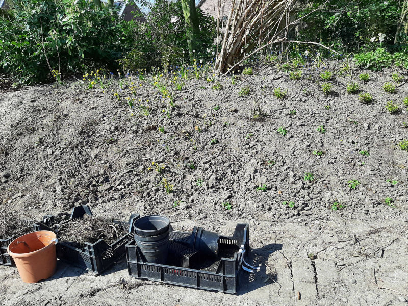Helpen met aanplanten