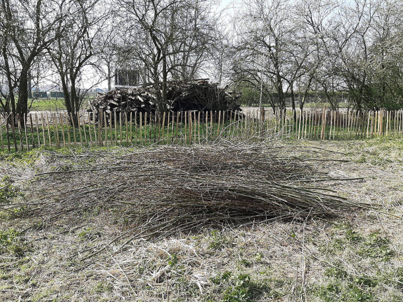Hut maken van wilgentakken