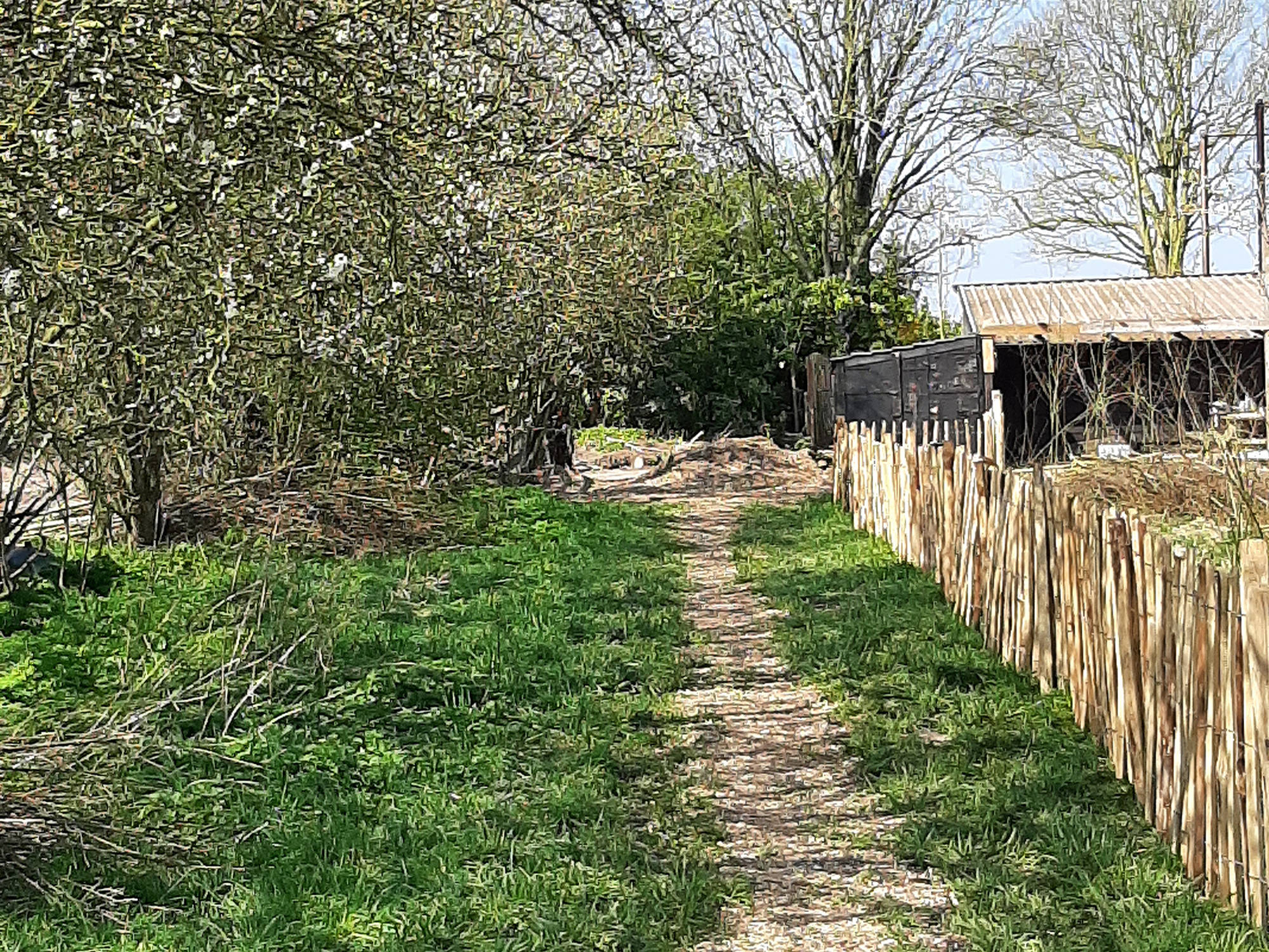 Paadjes aanbrengen in voedselbos